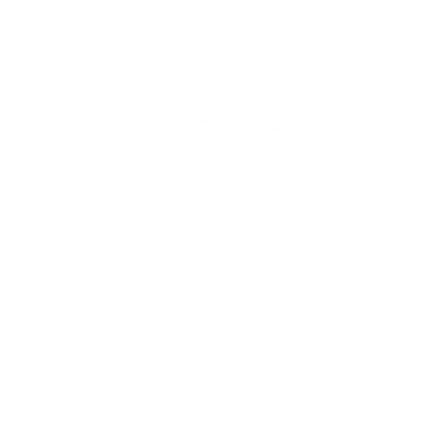 white gradient